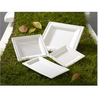 Click for a bigger picture.26cm Square Bagasse Plate Pk 250