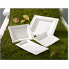 Click here for more details of the 26cm Square Bagasse Plate Pk 250