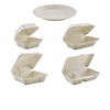 Bagasse Food Containers